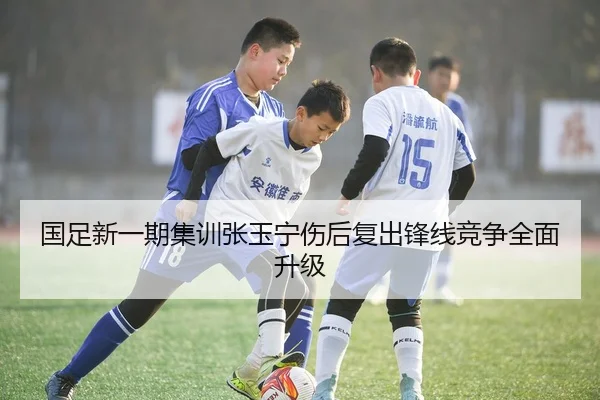 国足新一期集训张玉宁伤后复出锋线竞争全面升级